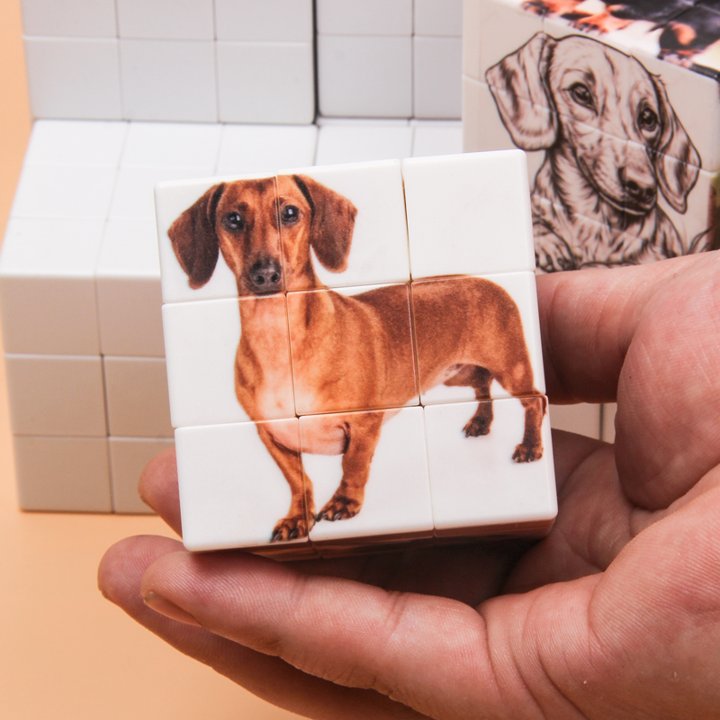 Cubos mágicos personalizados,  - Photography Exhibition avaliação e preço